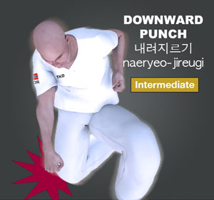 Downward Punch ( 내려지르기 naeryeo-jireugi )