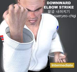 Elbow Downward Strike ( 팔굽 내려치기 palgup-naeryeo-chigi )