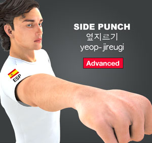 Side Punch ( 옆지르기 yeop-jireugi )