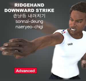 Ridgehand Downward Strike ( 손날등 내려치기 sonnal-deung-naeryeo-chigi )