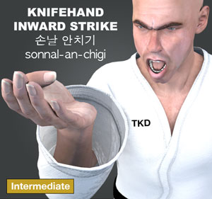 Knife Hand Inward Strike ( 손날 안치기 sonnal-an-chigi )