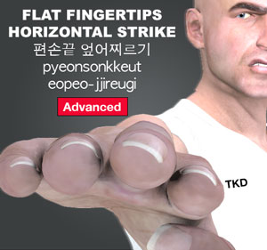 Flat Fingertips Horizontal Strike ( 편손끝 엎어찌르기 pyeonsonkkeut-eopeo-jjireugi )