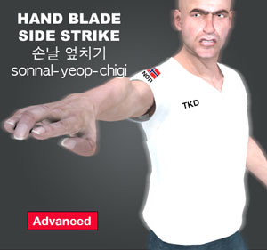 Hand Blade Side Strike ( 손날 옆치기 sonnal-yeop-chigi )