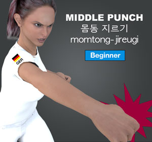 Middle Punch ( 몸통 지르기 momtong-jireugi )