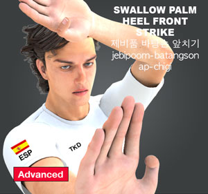 Swallow Palm Heel Front Strike ( 제비품 (바탕손) 앞치기 jebipoom-batangson-ap-chigi )