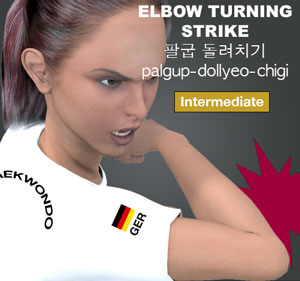 Elbow Turning Strike ( 팔굽 돌려치기 palgup-dollyeo-chigi )