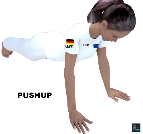 Taekwondo Warming Up Pushups