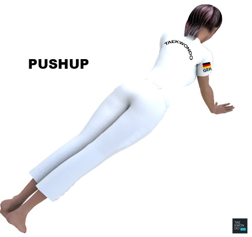 Taekwondo Warming Up Pushups