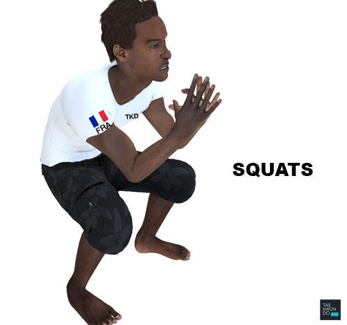 Taekwondo Warming Up Squats